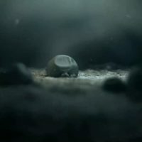 Showreel 2010. 3D generalist